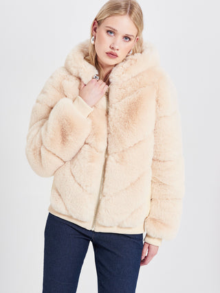 EDITORIAL-CFC0118311003-B101.jpg