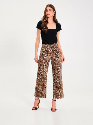EDITORIAL-CFC0119472003-B430.jpg