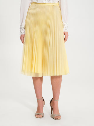 Gonna plissé a Ruota in Tulle