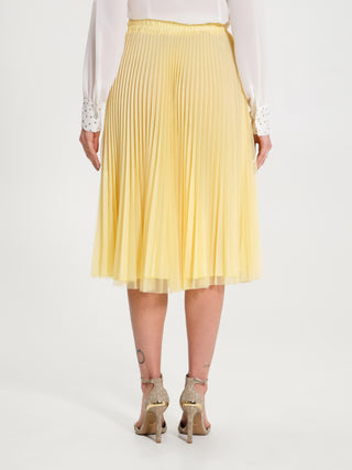 Gonna plissé a Ruota in Tulle