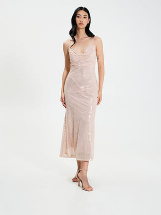 EDITORIAL-CFC0119101003-B221.jpg